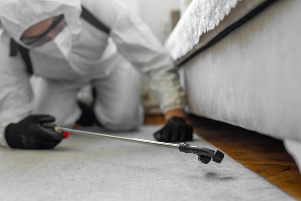 Professional Mosquito Control technician working in Port Jefferson Station, NY