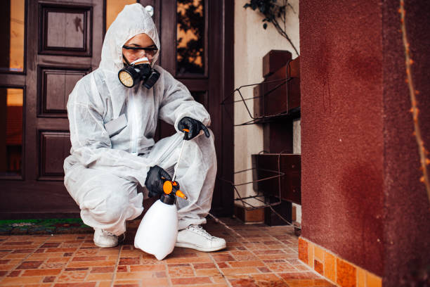 Reliable Mosquito Control contractor in Port Jefferson Station, NY by Nex Pest Control
