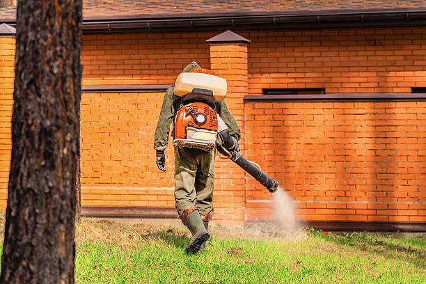 Trusted Bed Bug Control service in Port Jefferson Station, NY - Nex Pest Control